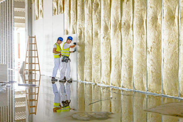 Best Insulation Contractors for Homes  in Williamsport, MD